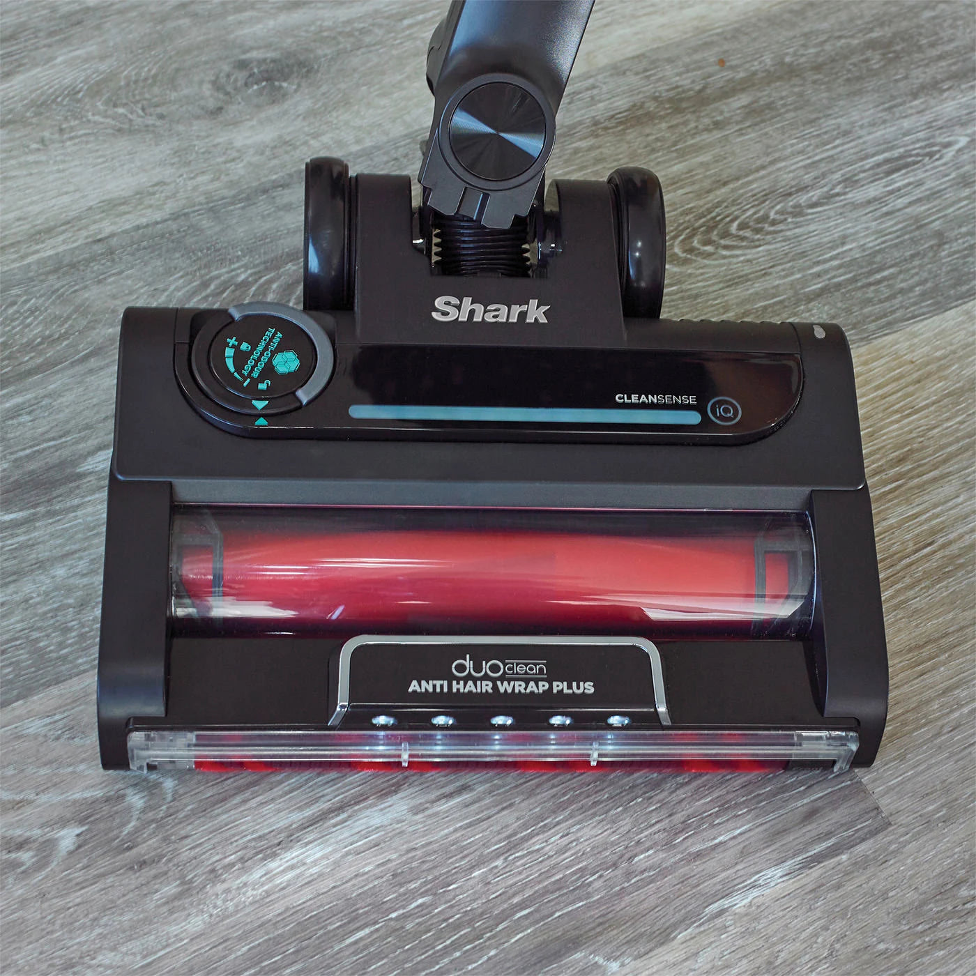 Shark Magyarország