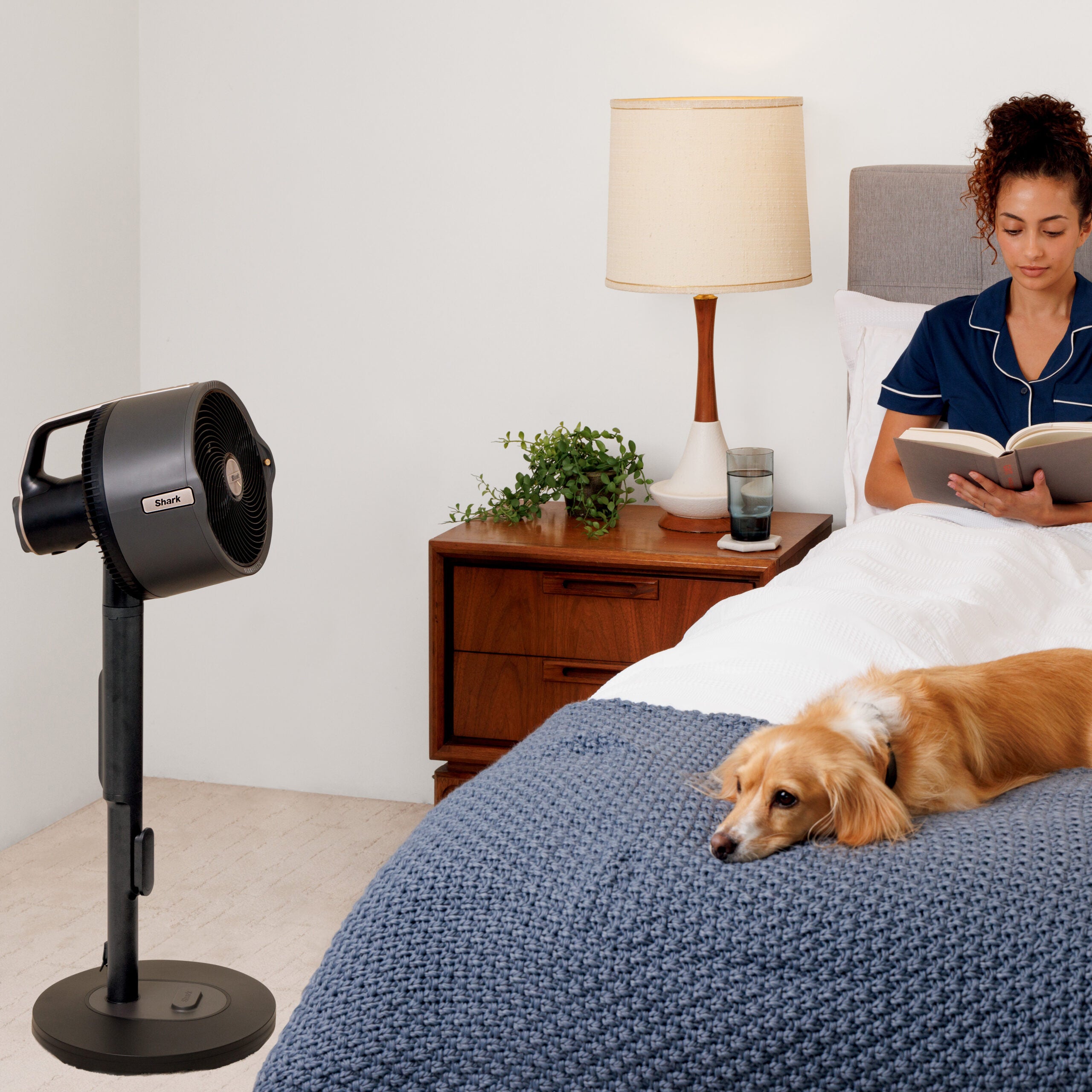 Shark FA300EU Flex Breeze ProMist Vezeték nélküli ventilátor vízpermet funkcióval